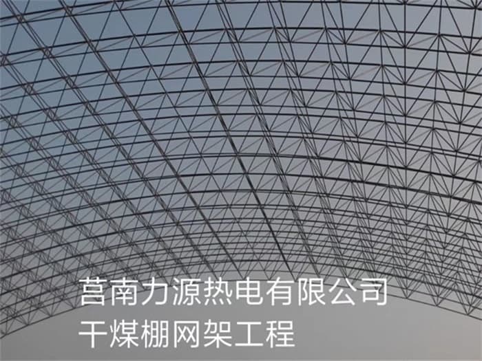 石河子力源热电有限公司干煤棚网架工程